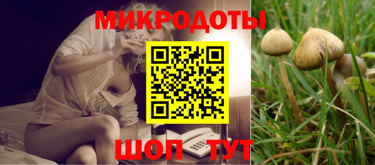 Псилоцибиновые грибы мицелий Смоленск