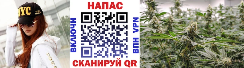 МАРИХУАНА сатива Смоленск